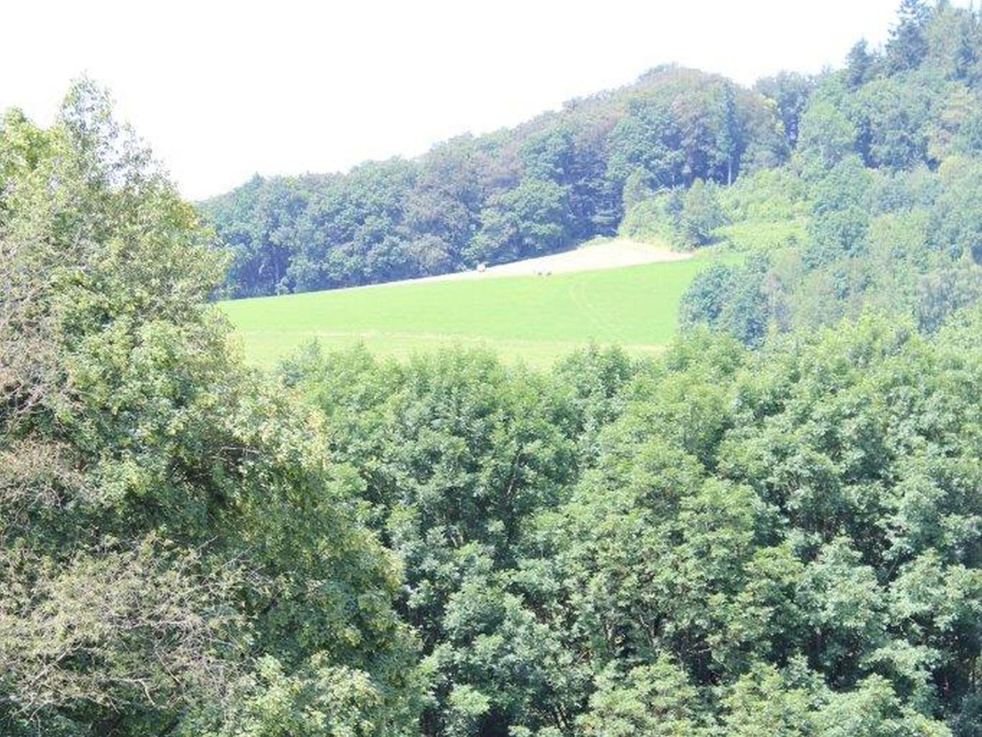 Ferienwohnung Rimbach Buitenkant foto